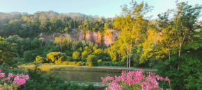 lovely apartment, gite, visit the vosges france